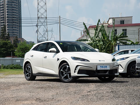 2025�� �Ǽݰ� 505���˰�