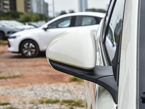 2026�� 305km ������