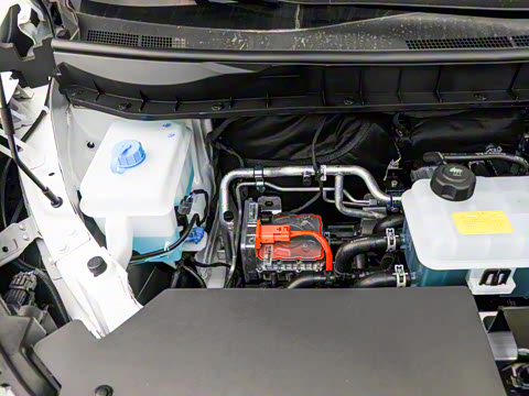 2026�� ��ƽ�� ������������