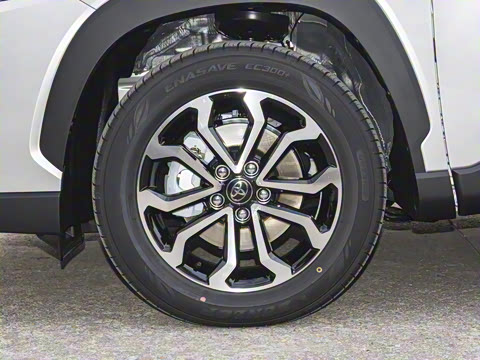 2026�� 2.0L ���ܵ��˫�� ������