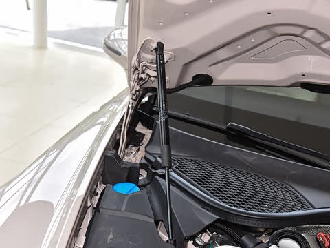 2026�� GT ������