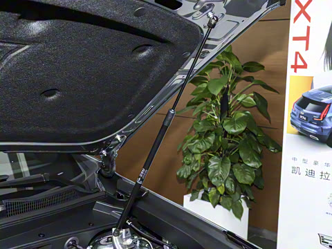 2024�� �Ŀ� 28T ����������