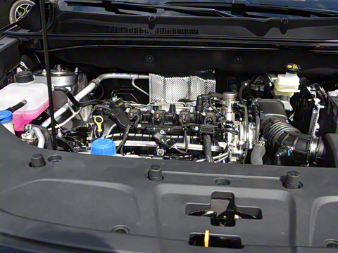 2026�� �ǻ۹ھ��� 1.5T ������ ������