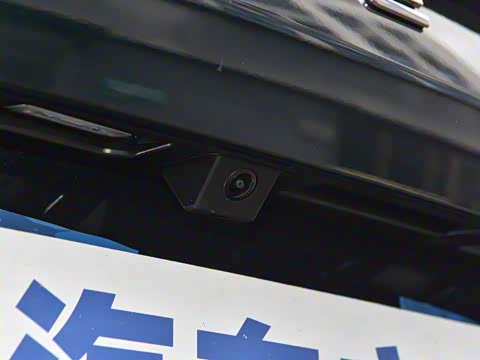 2025�� 290T ��������+