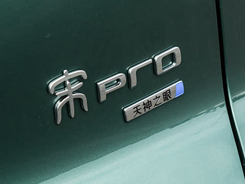 2026�� DM-i 133KM��Խ��