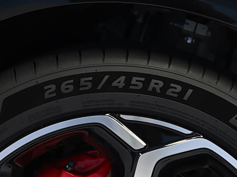 2026�� ���� ����MAX+ ��������