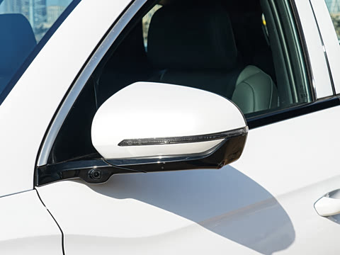 2026�� DM-i 220KM��Խ��