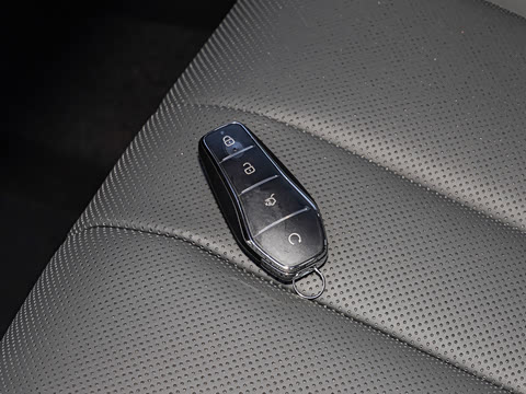 2026�� DM-i 220KM��Խ��