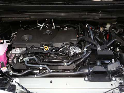 2026�� 2.5L �߶����м�