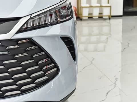 2026�� DM-i 210KM��ȡ��