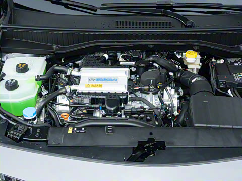 2026�� Ӱ�� 270T ������