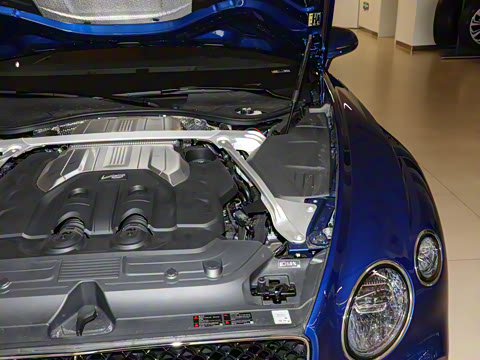 2024�� 4.0T GT V8