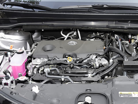 2026�� 2.5L�춯 ������