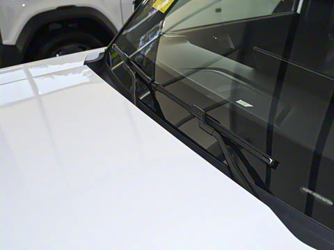 2025�� 520���������