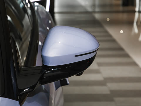 2025�� Elite�����