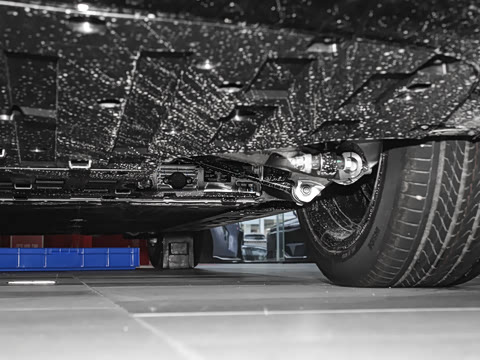 2025�� Elite�����