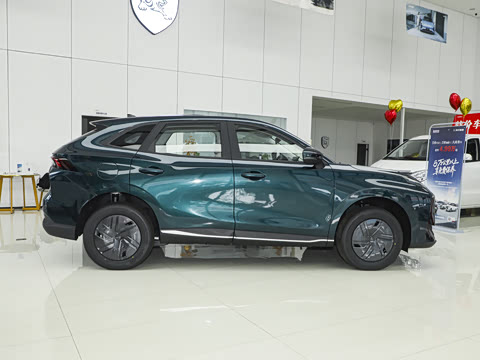 2025�� 530�캽��