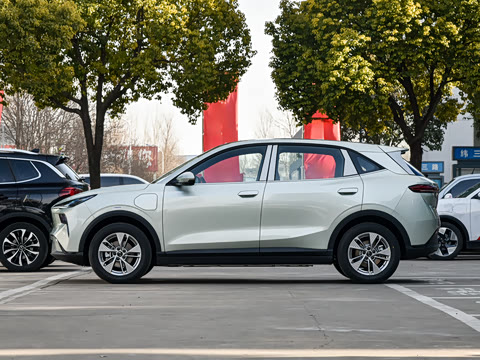 2026�� 565km ������