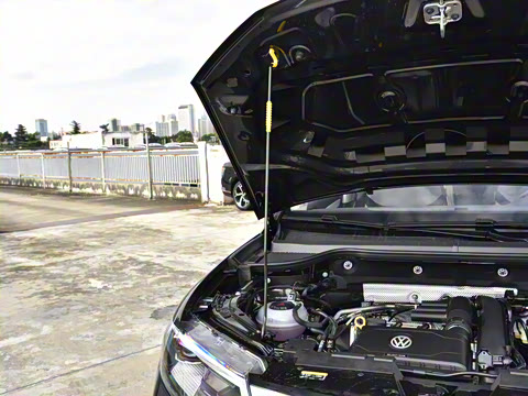 2026�� 280TSI �Զ��ȷ��