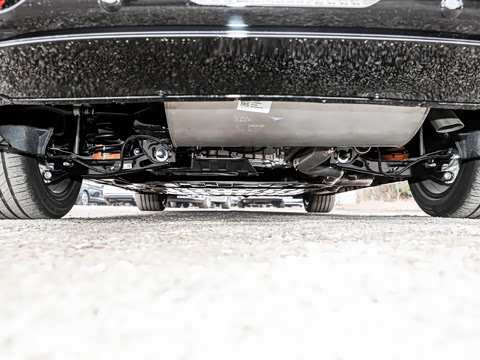 2025�� ������