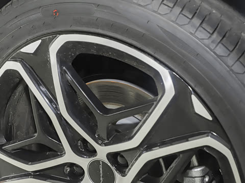 2026�� 565 ������