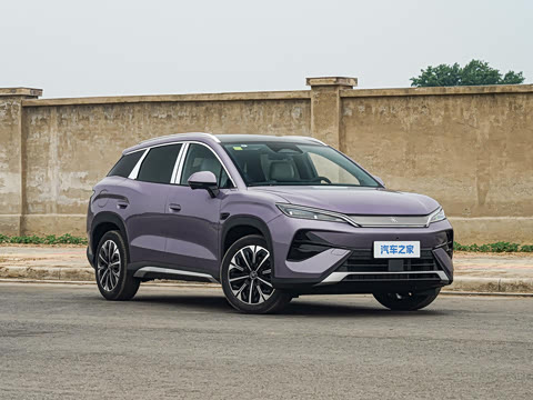 2026�� DM-i 310KM ��Խ��