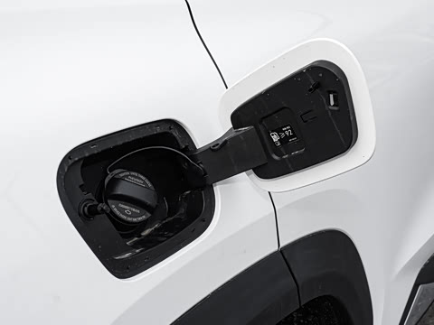 2026�� 225km ����