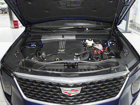 2024�� �Ŀ� 25T ����������