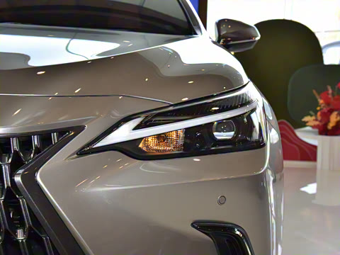 2025�� 400h+ PRIME