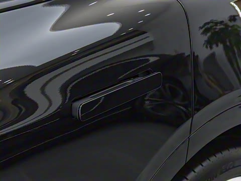 2024�� ������������