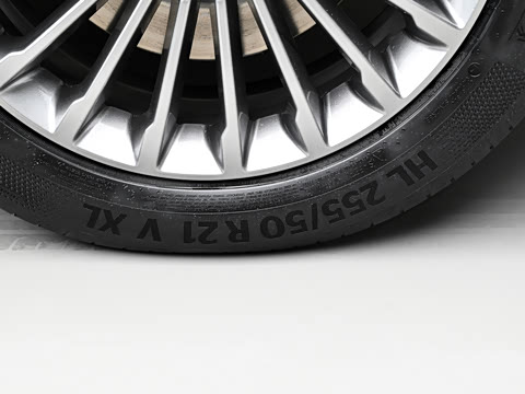 2026�� ������