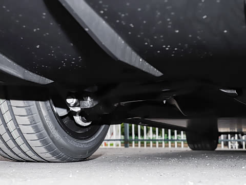 2025�� �Ŀ� ����������������