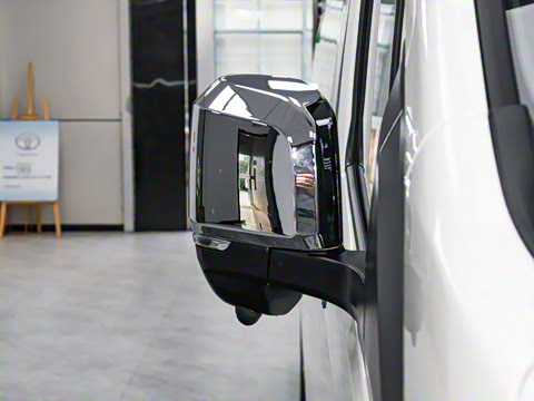 2025�� 9����ʨ ������