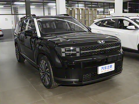 2024�� 2.0T ���ͼ�Pro