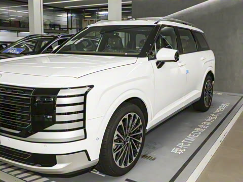 2026�� 2.5T Calligraphy ���ͼ� 6��