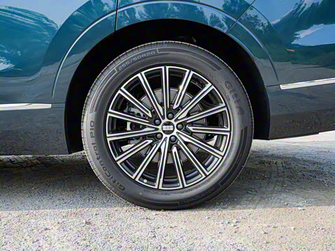 2025�� 230km ����̽����