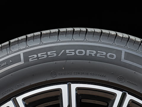 2025�� 230km ����̽����