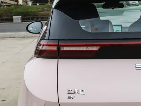 2025�� �Ǽݰ� 305km ������