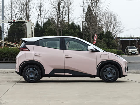 2025�� �Ǽݰ� 305km ������