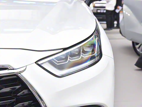 2026�� 2.5L���ܵ��˫����������� 7��