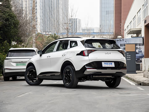 2026�� ����������