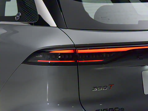 2026�� 9X 2.0T �Զ����������