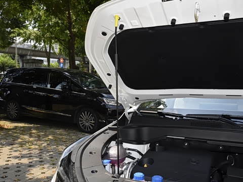 2025�� �ǻ������� 125km ������