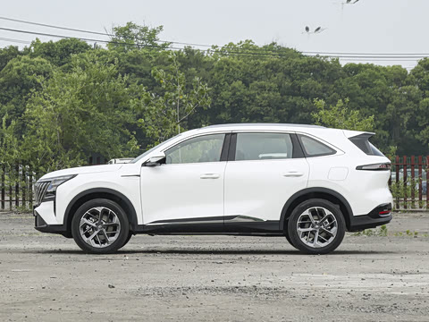 2026�� ���Ĵ� 1.5T �������� �콢��