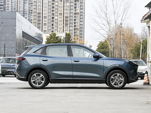 2025�� 565km ������