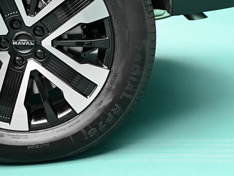 2026�� 255km ������