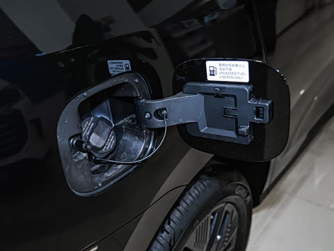 2025�� �Ŀ� �콢��