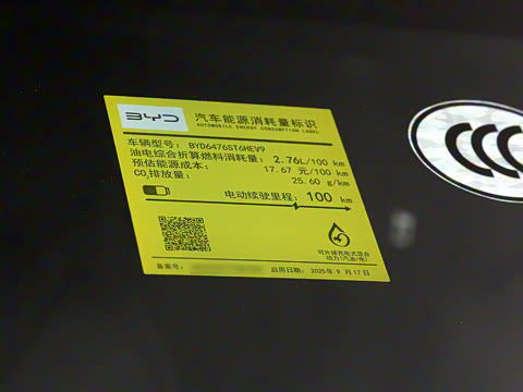 2026�� DM-i 133KM��Խ��