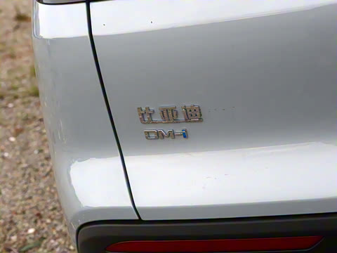 2026�� DM-i 133KM��Խ��