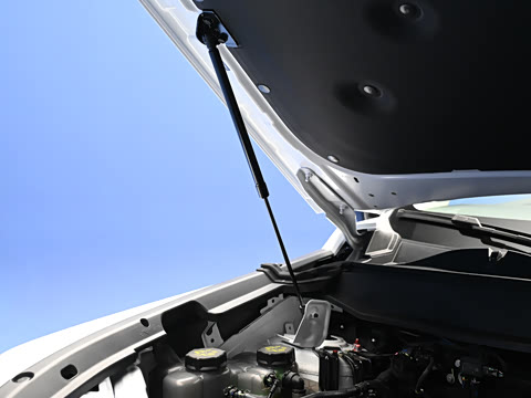 2026�� 255km ������